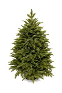 Pom de Crăciun artificial în ghiveci FULL 3D Mini Brad 100cm