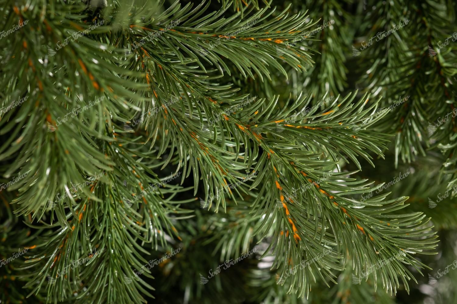 Vianočný stromček 3D Borovica Tatranská