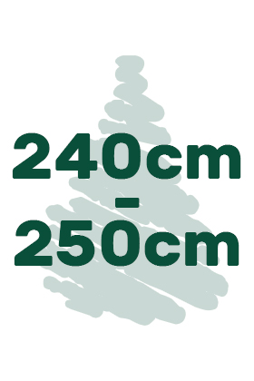 výška vianočných stromčekov 240cm-250cm ikona