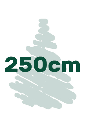 výška vianočných stromčekov 250cm ikona