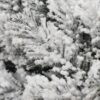 Coroniță de Crăciun Brad Tatra cu zăpad