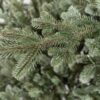 Detail vetvičky vianočného stromčeka FULL 3D Smrek Pichľavý. Stromček má tmavozelené ihličie.