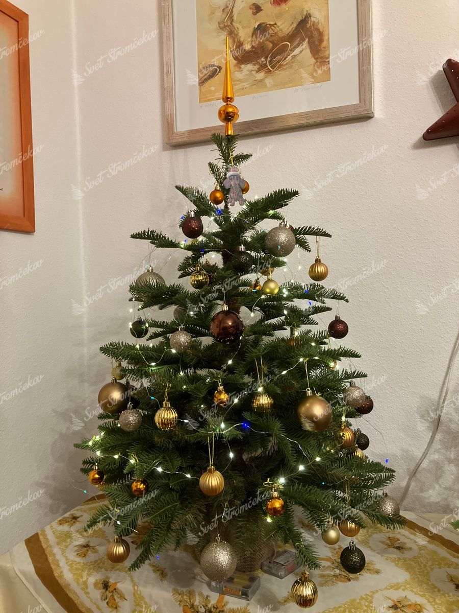 Vianočný stromček v kvetináči 3D Jedľa Prírodná 90cm ozdobený zlatými a medenými ozdobami.