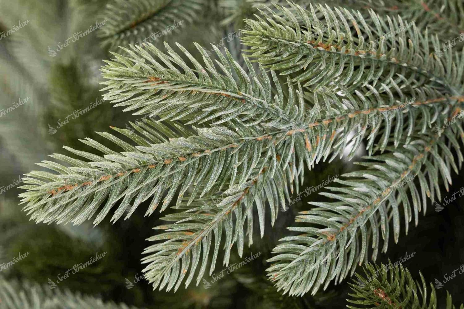 Brad artificial de Crăciun 3D Molid Nobil Deschis 210cm