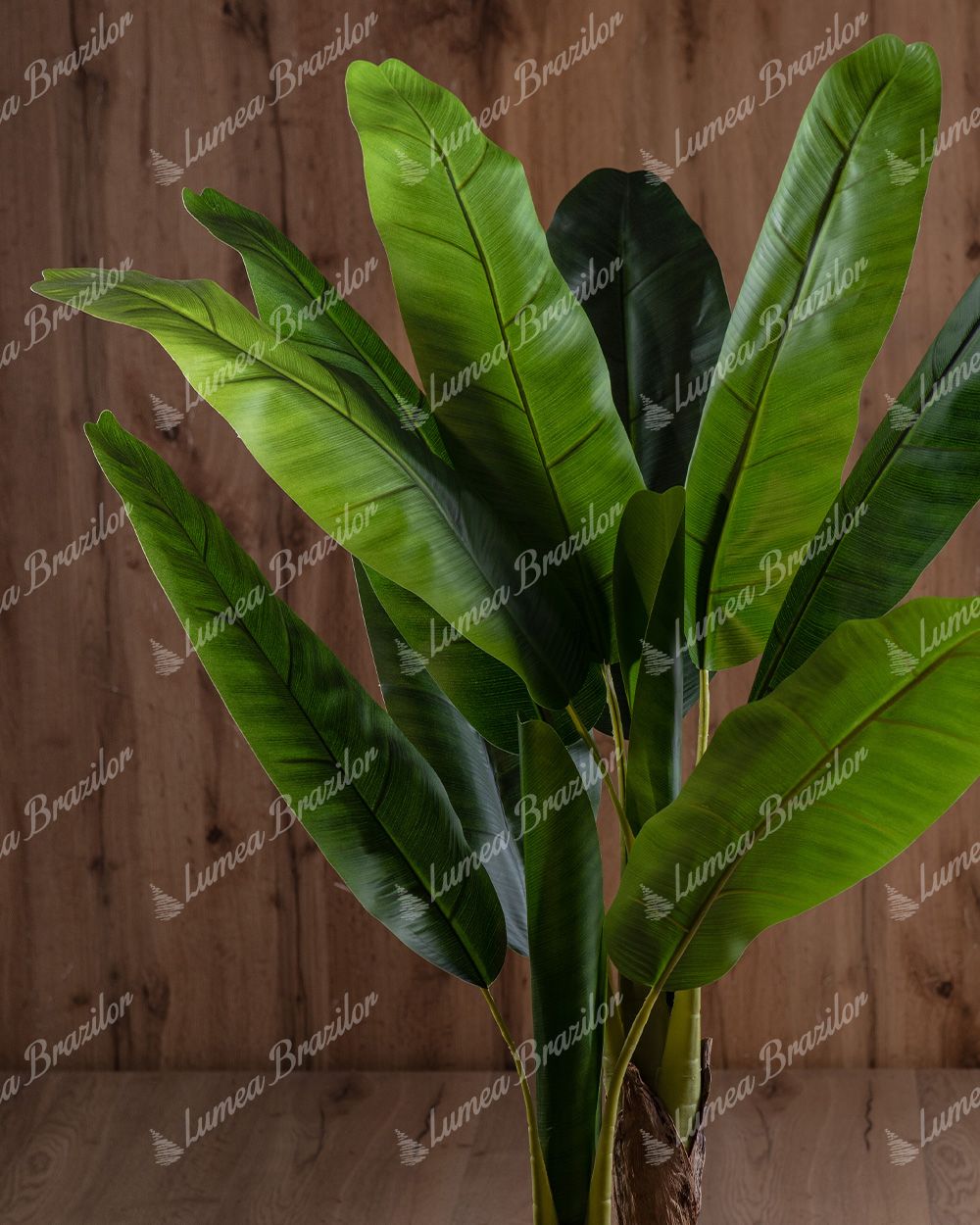 Detaliu Plantă artificială Bananier Frunzele late au o culoare verde