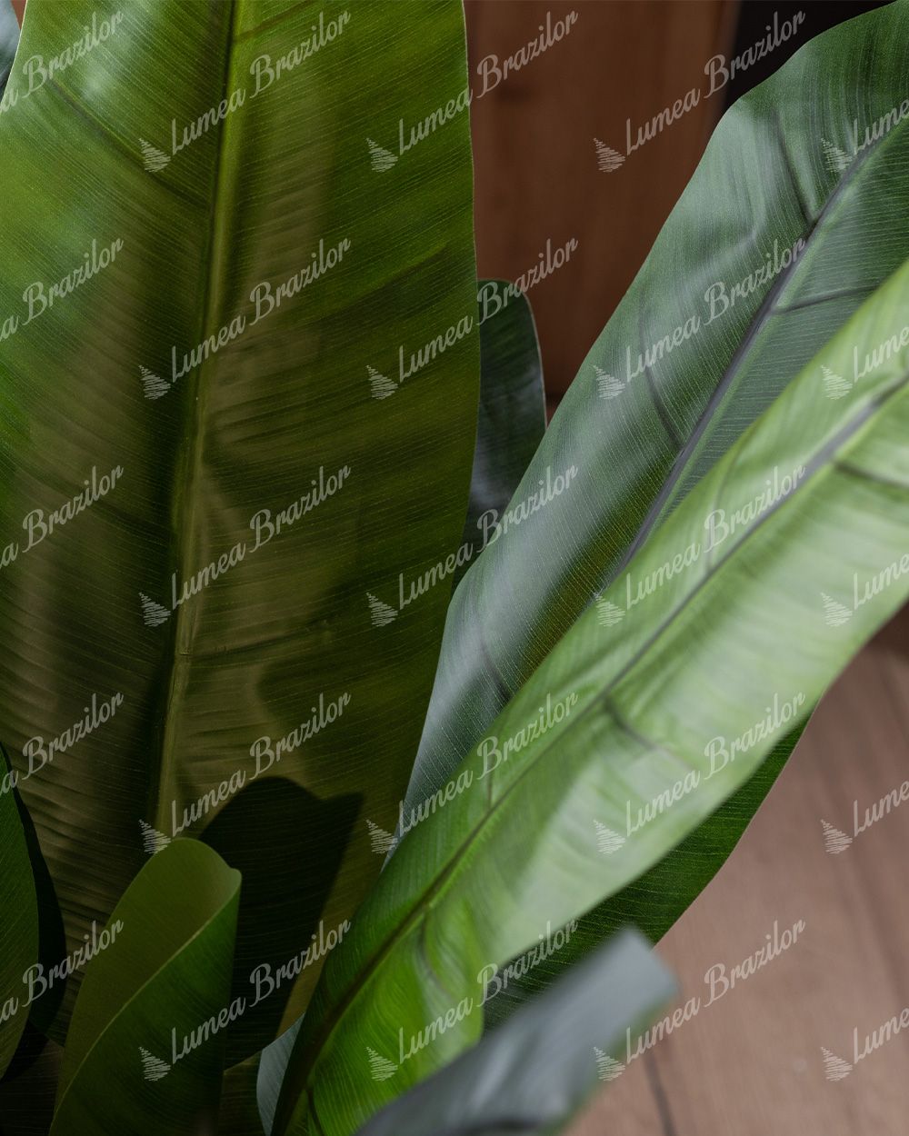 Detaliu al frunzei Plantă artificială Bananier Frunza lată și verde are o textură foarte realistă