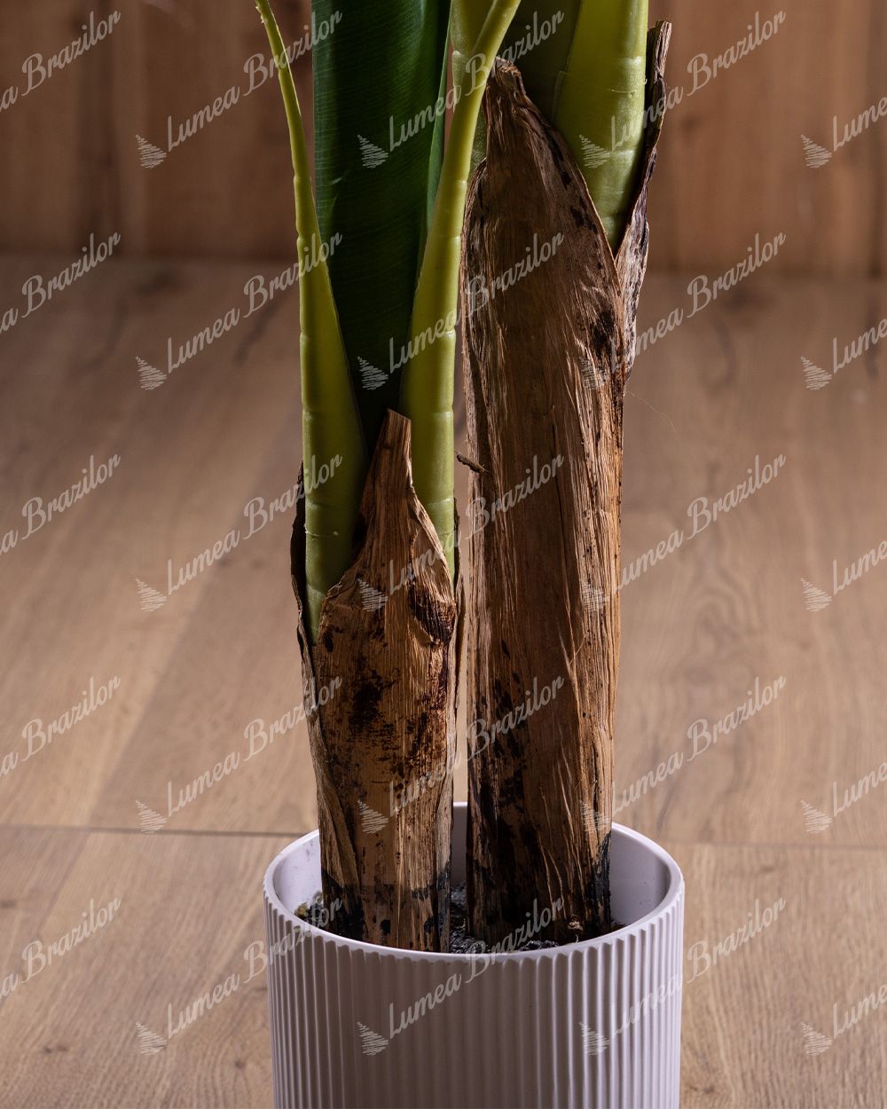 Detaliu Plantă artificială Bananier,Trunchiul este realizat din fibre naturale și este amplasată într-un ghiveci alb