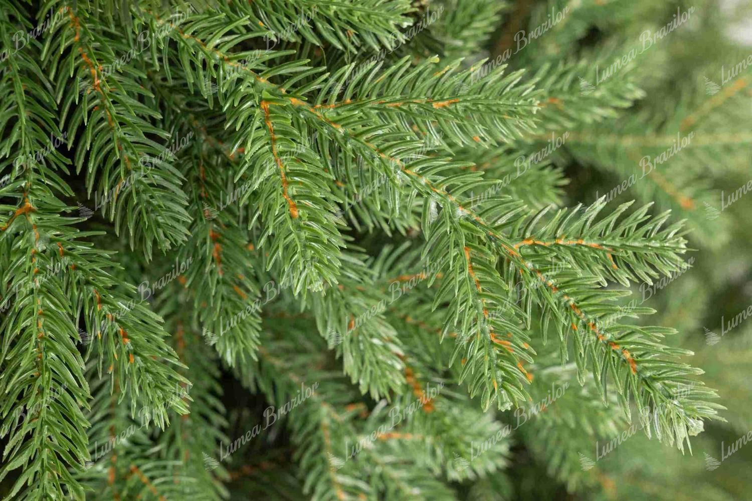 Detaliu al unei crengi a bradului artificial de Crăciun 3D Molid Apenin, Are ace scurte de molid, de culoare verde