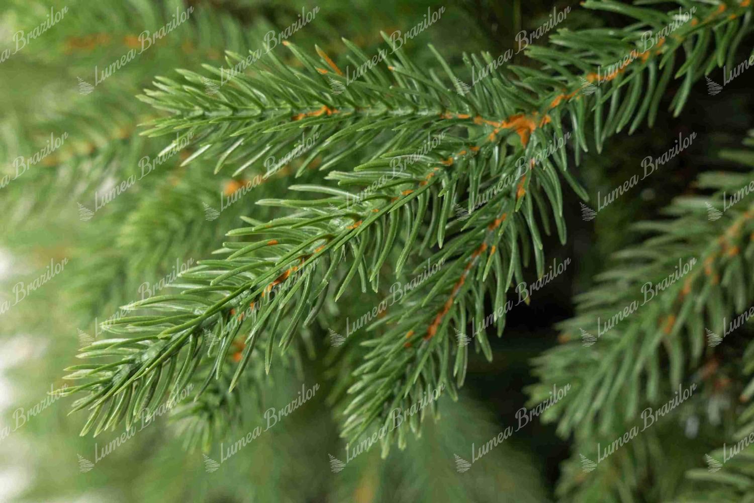 Detaliu al unei crengi a bradului artificial de Crăciun 3D Molid Apenin, Acele sunt scurte și au o culoare verde naturală